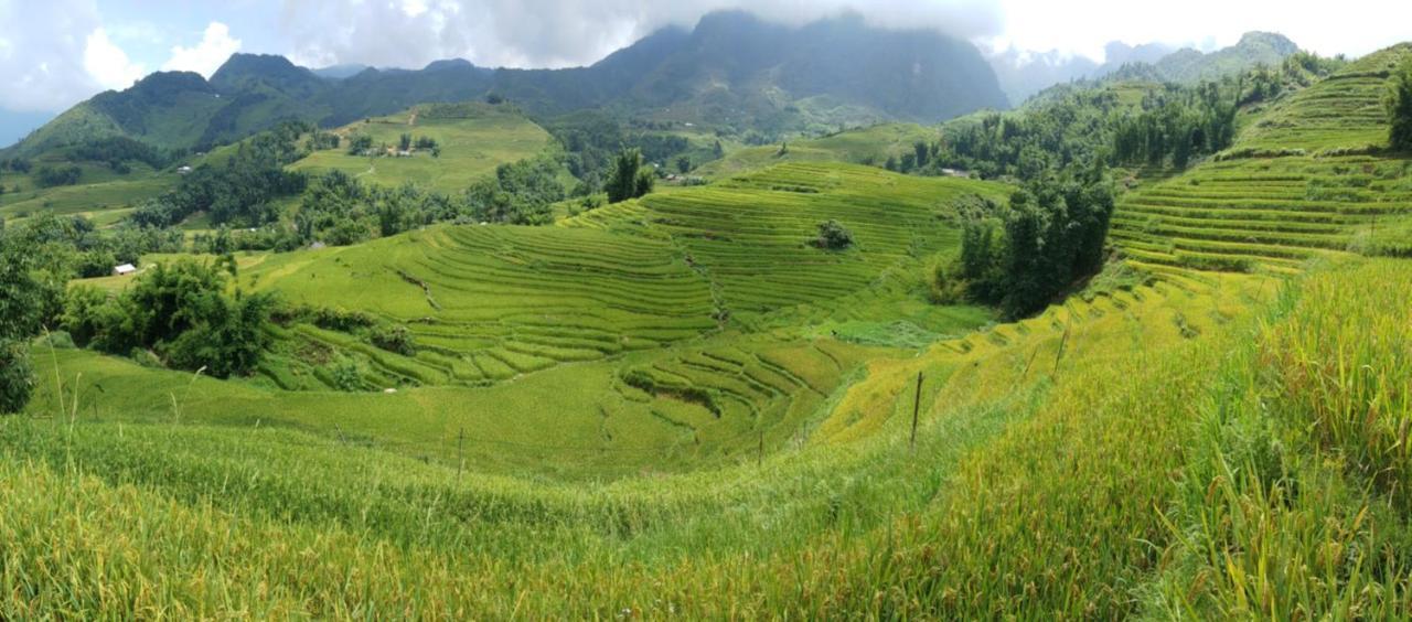 Dzay House Homestay Sapa Exteriör bild